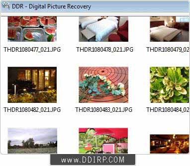 Screenshot of Recover Photos